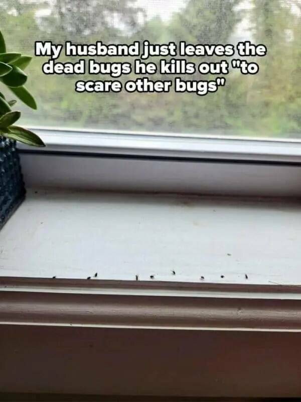 The Madness of Married Life The Madness of Married Life