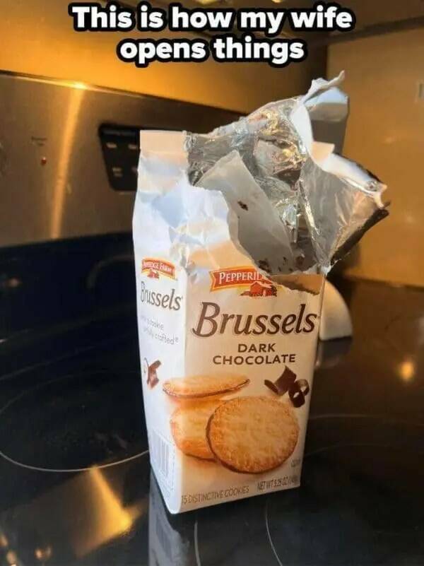 The Madness of Married Life The Madness of Married Life