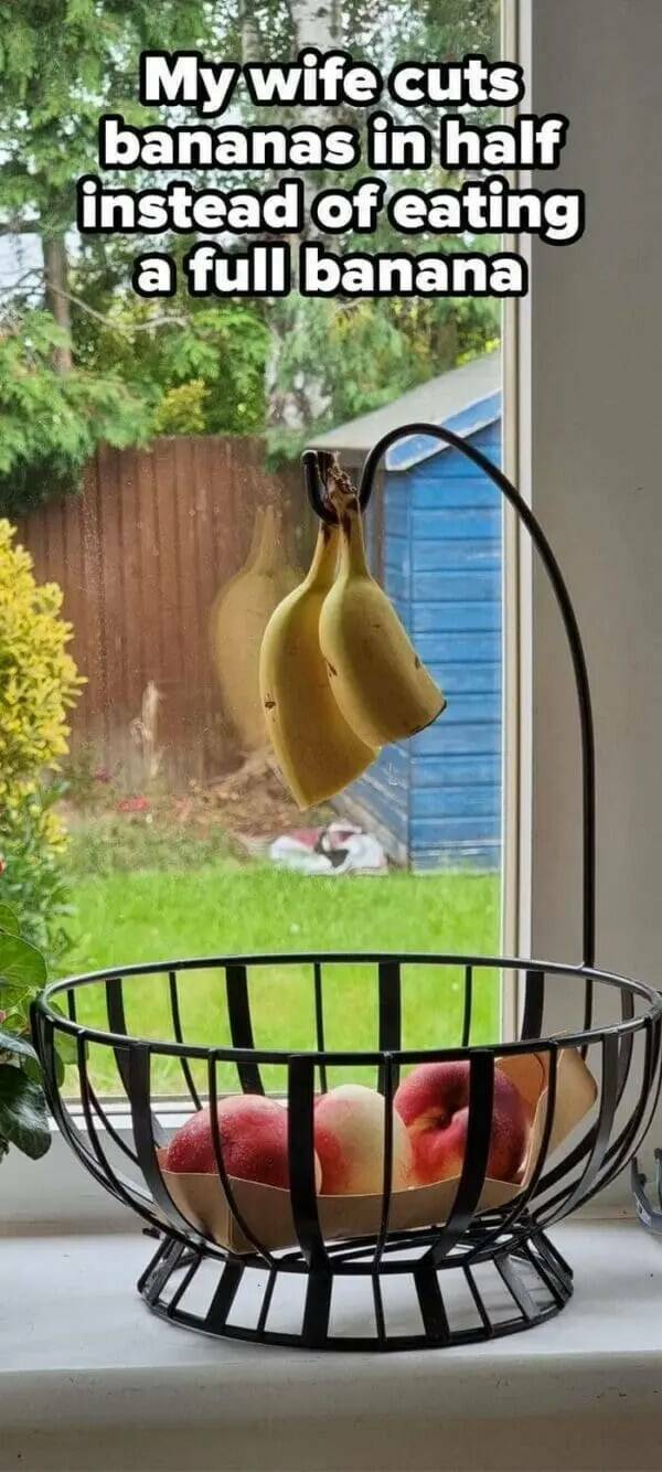 The Madness of Married Life The Madness of Married Life