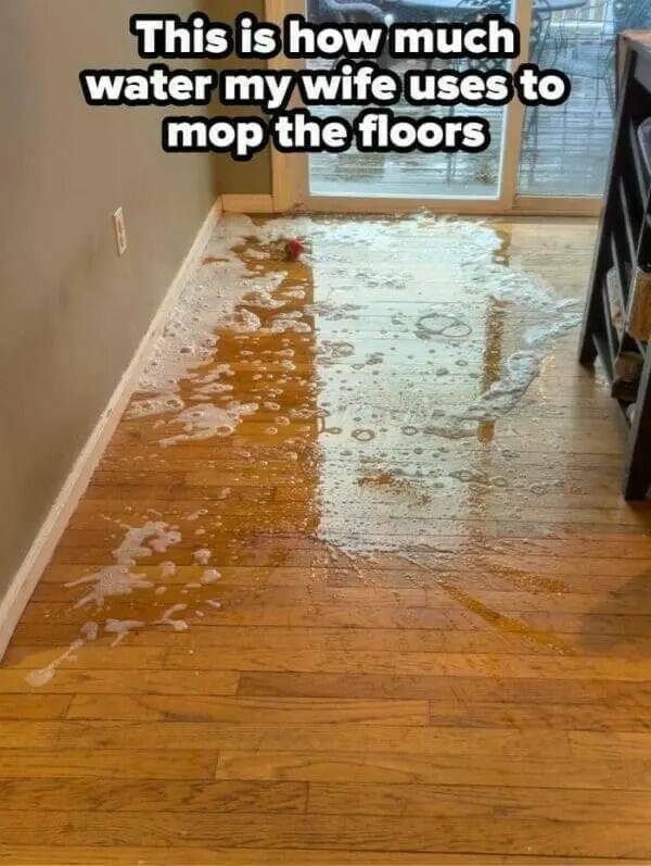 The Madness of Married Life The Madness of Married Life