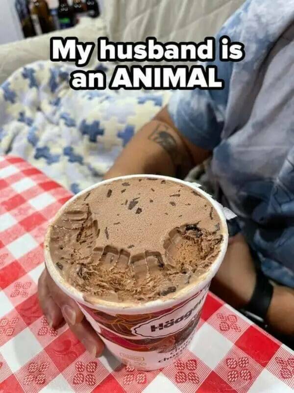 The Madness of Married Life The Madness of Married Life