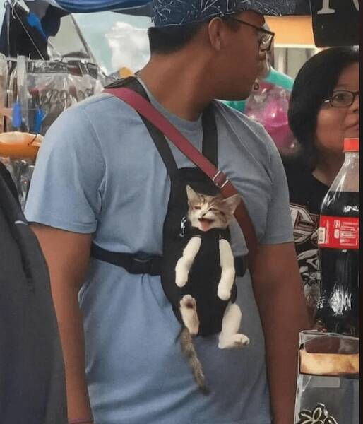 TOP 30 Funny Pics of the Week