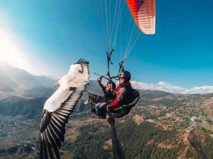 Daily Picdump Daily Picdump