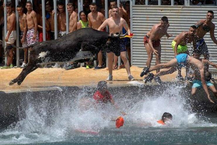 Daily Picdump