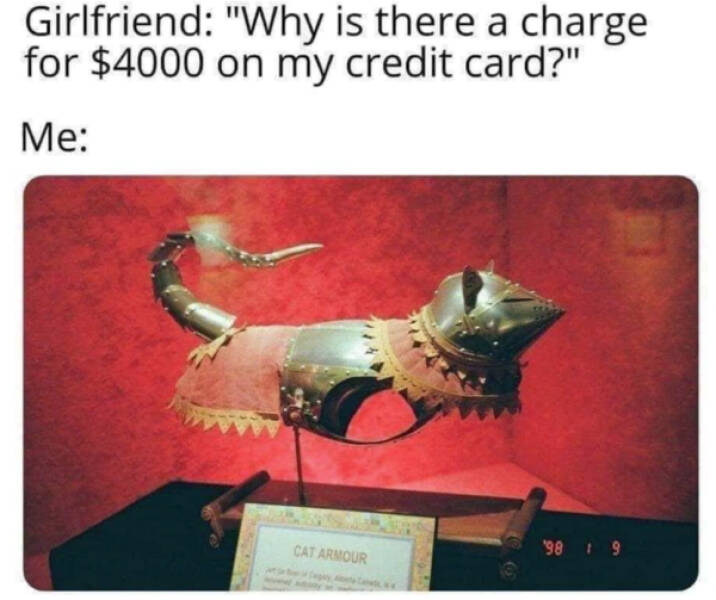 Cats Are Just Tiny Comedians in Fur Coats Cats Are Just Tiny Comedians in Fur Coats