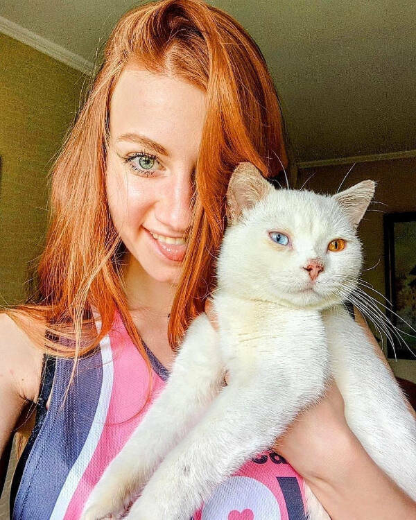 Cats Are Just Tiny Comedians in Fur Coats Cats Are Just Tiny Comedians in Fur Coats