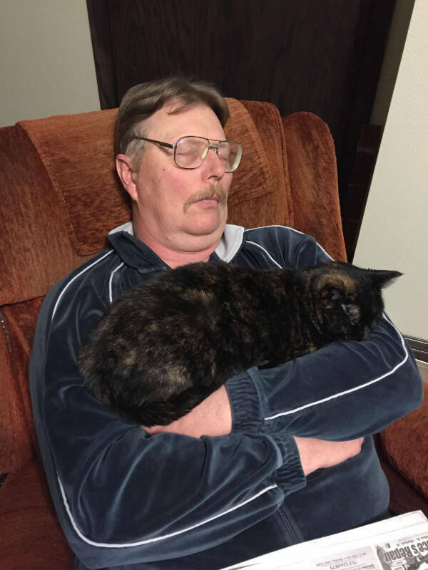 Cats Are Just Tiny Comedians in Fur Coats Cats Are Just Tiny Comedians in Fur Coats