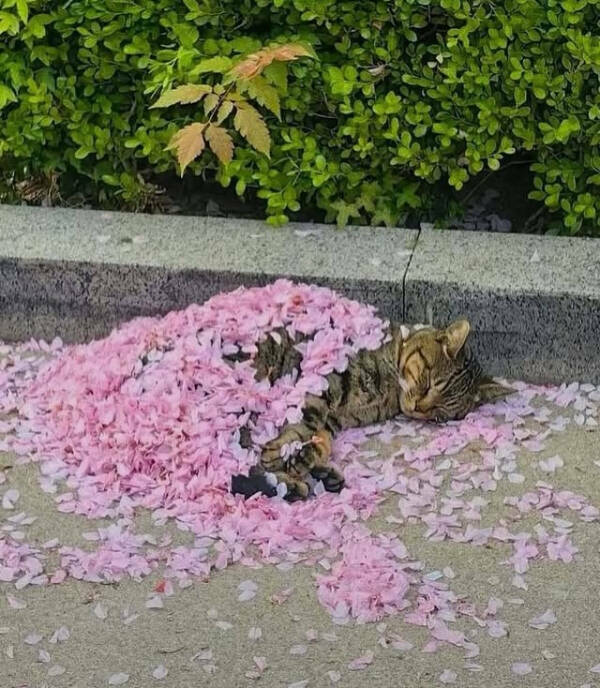 Warm Moments Worth Sharing Warm Moments Worth Sharing