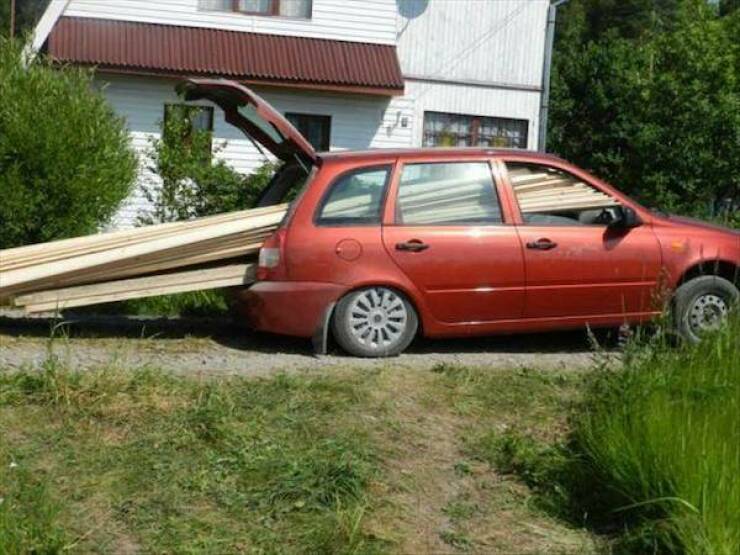 Daily Picdump Daily Picdump