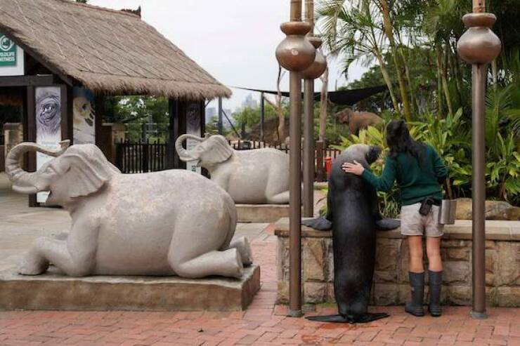 Daily Picdump Daily Picdump