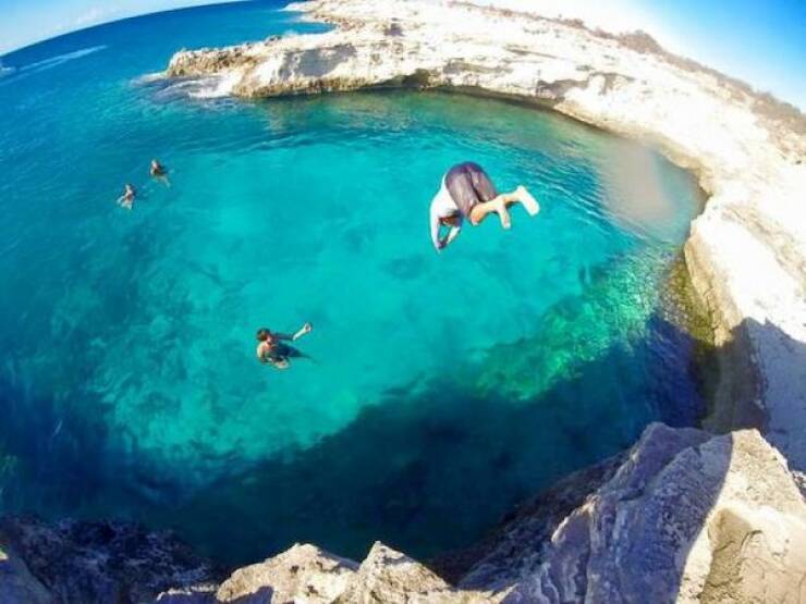 Daily Picdump Daily Picdump