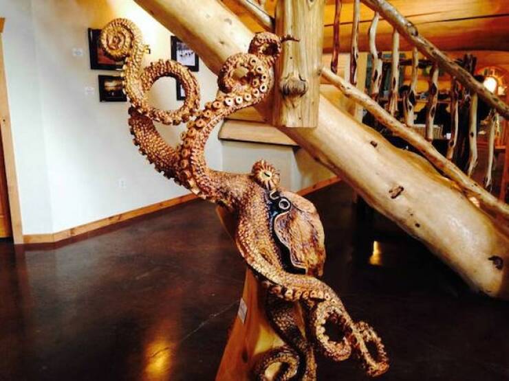 Daily Picdump Daily Picdump