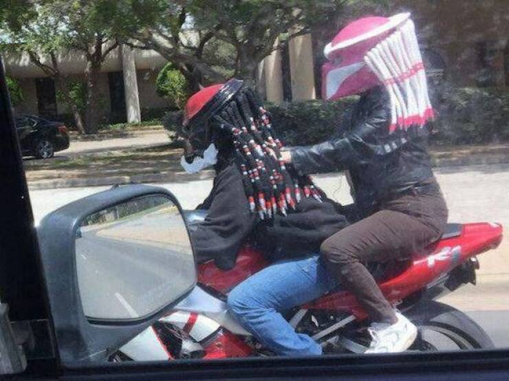 Daily Picdump Daily Picdump