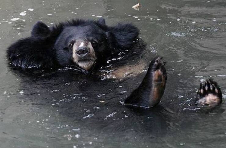 Daily Picdump Daily Picdump