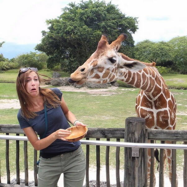 Daily Picdump Daily Picdump