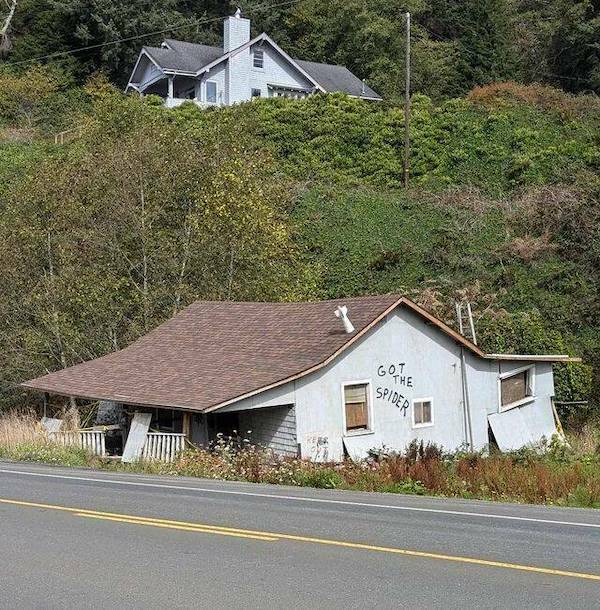 Daily Picdump Daily Picdump