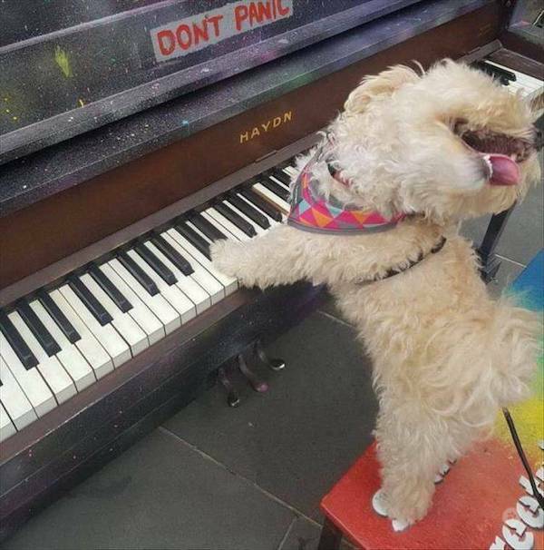 Daily Picdump Daily Picdump