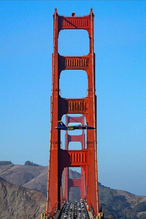 Daily Picdump Daily Picdump