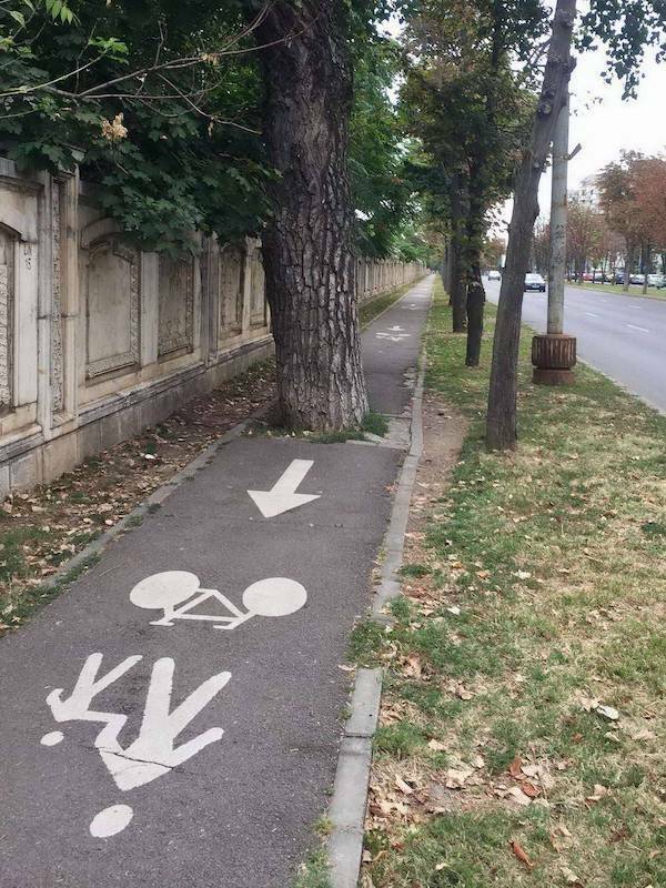 Daily Picdump Daily Picdump