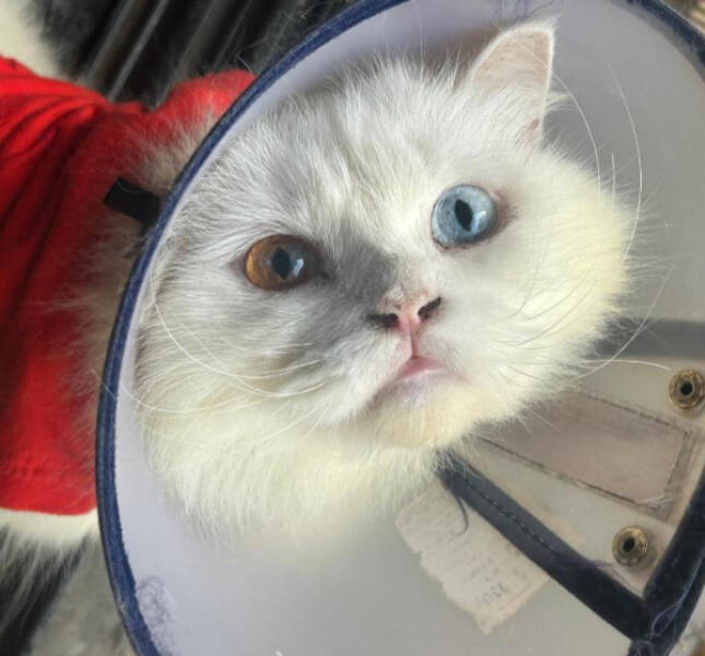 Cool Stuff You Didn’t Know You Needed to See