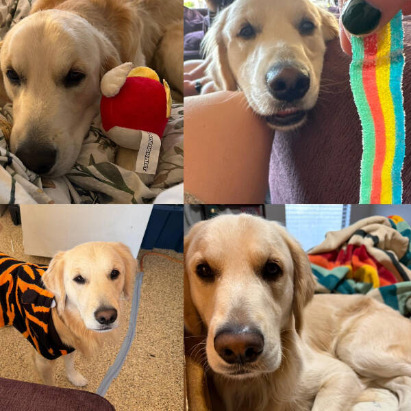 Cool Stuff You Didn’t Know You Needed to See