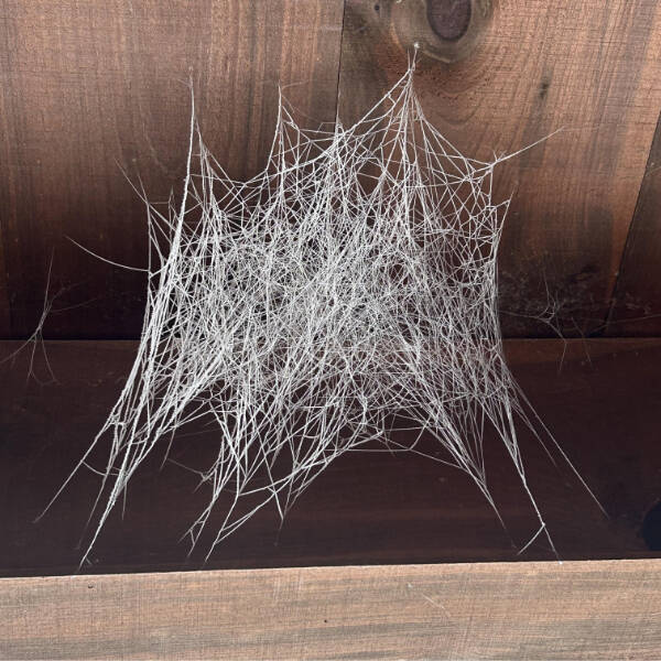 Cool Stuff You Didn’t Know You Needed to See