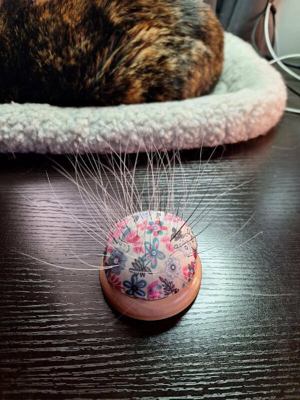 Cool Stuff You Didn’t Know You Needed to See