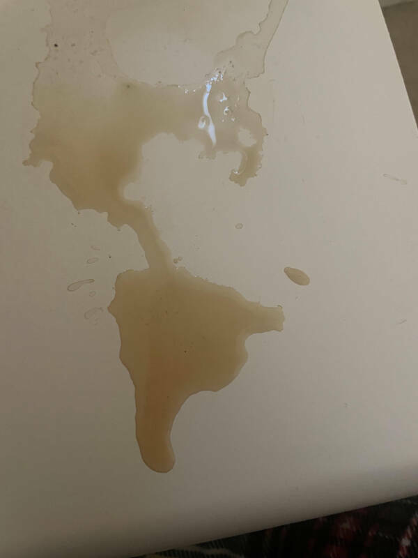 Cool Stuff You Didn’t Know You Needed to See