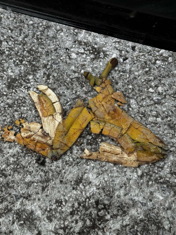 Cool Stuff You Didn’t Know You Needed to See