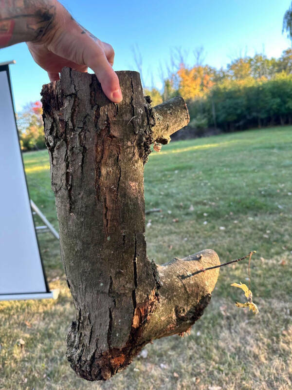 Cool Stuff You Didn’t Know You Needed to See