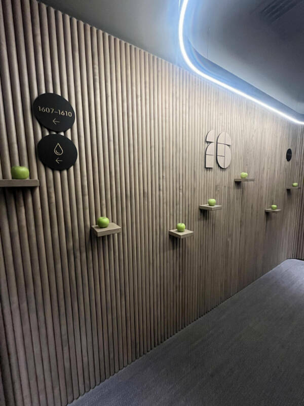 Cool Stuff You Didn’t Know You Needed to See