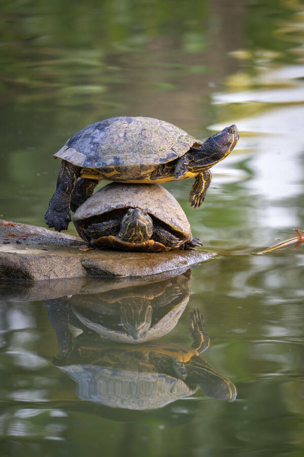 Cool Stuff You Didn’t Know You Needed to See