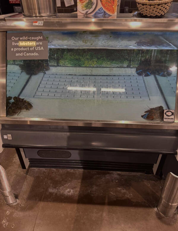 Cool Stuff You Didn’t Know You Needed to See