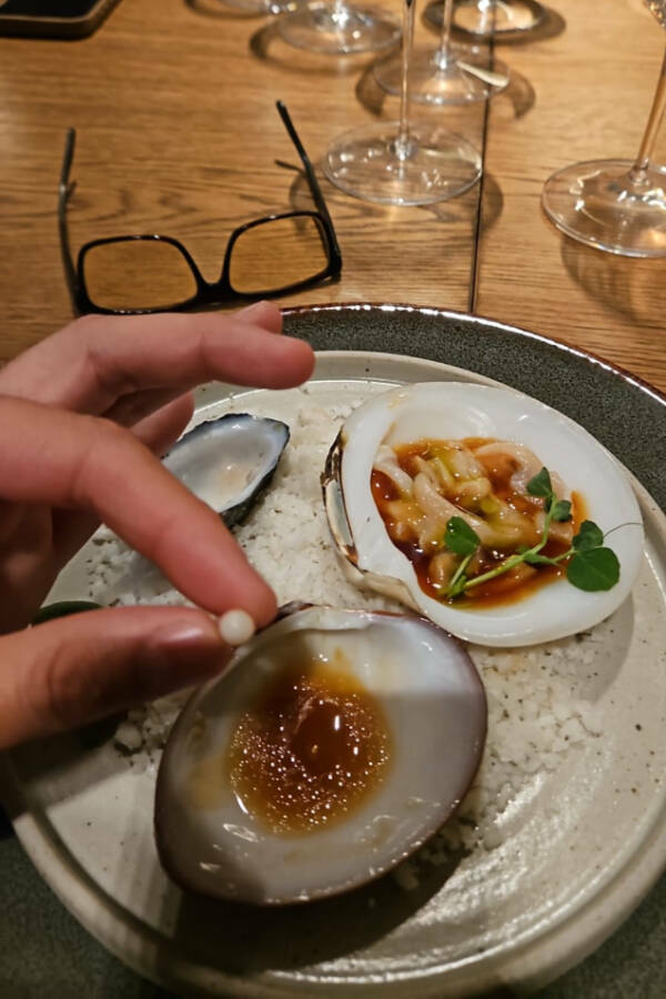 Cool Stuff You Didn’t Know You Needed to See