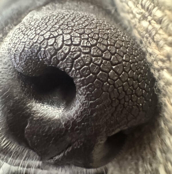 Cool Stuff You Didn’t Know You Needed to See