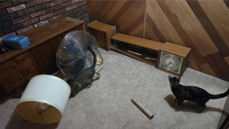 The Definition Of A Bad Day