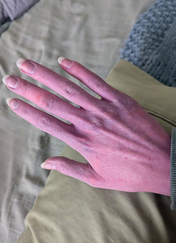 The Definition Of A Bad Day