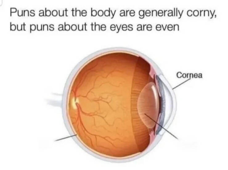 A Clear Case of Hilarious Glasses Memes