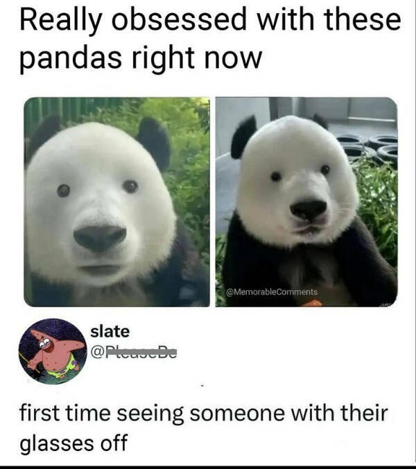 A Clear Case of Hilarious Glasses Memes