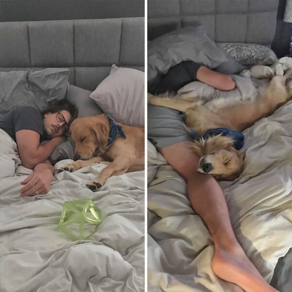 Photos That Perfectly Show the Difference