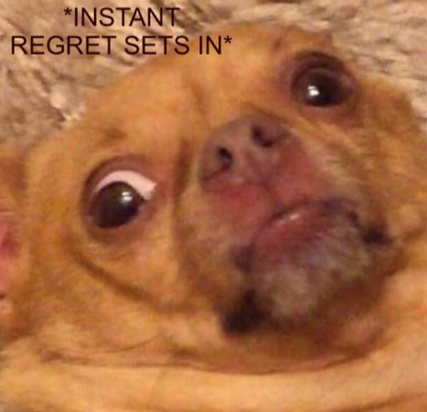 Autopilot Mode: Humans Being Humans