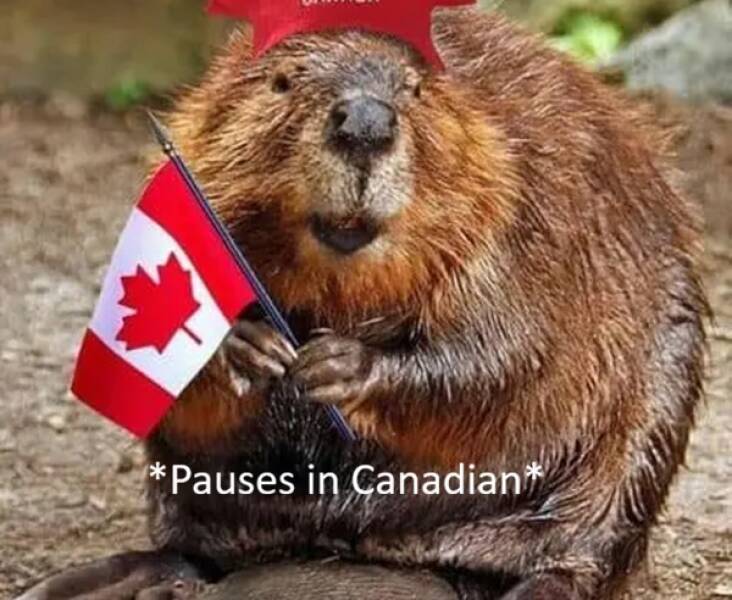 Autopilot Mode: Humans Being Humans