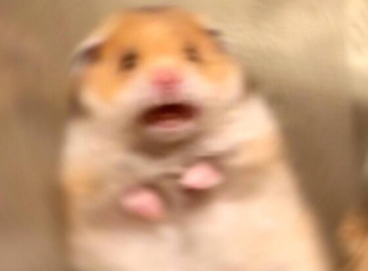 Autopilot Mode: Humans Being Humans