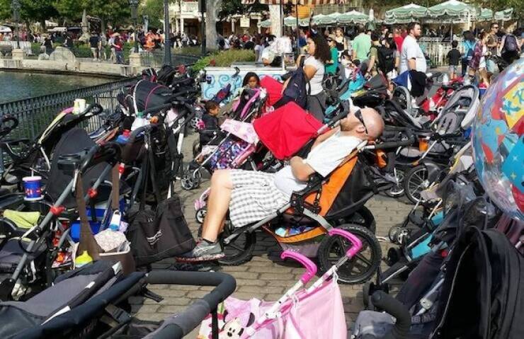 No Explanation, Just These WTF Photos