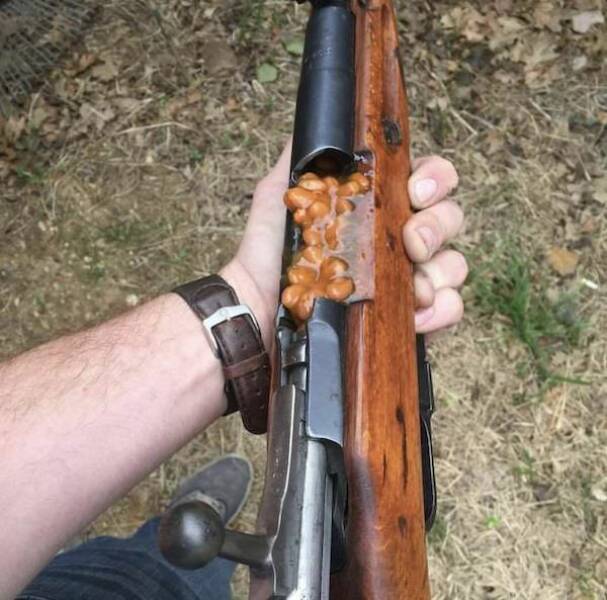 No Explanation, Just These WTF Photos