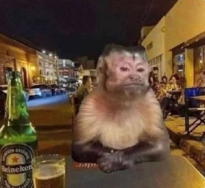 No Explanation, Just These WTF Photos