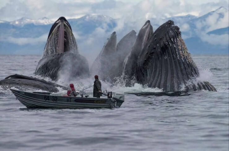 No Explanation, Just These WTF Photos