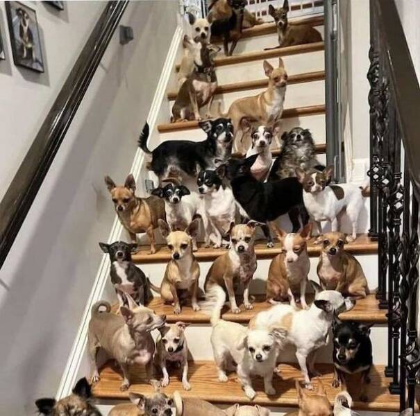 No Explanation, Just These WTF Photos