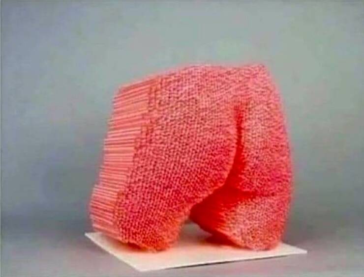 No Explanation, Just These WTF Photos