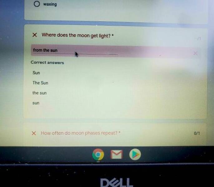 No Explanation, Just These WTF Photos